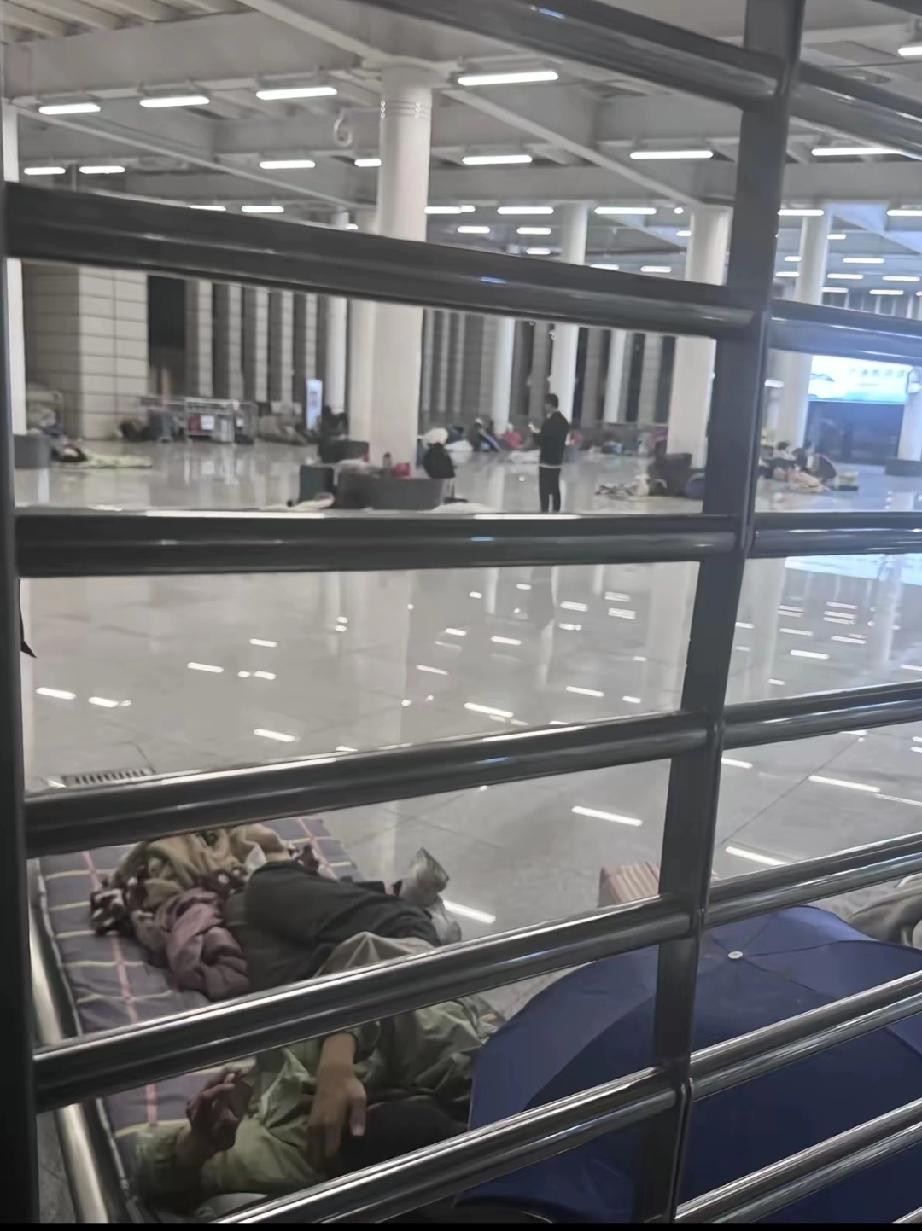 深圳这次台风没来之前拼命砍树！一下子可把道路两旁的树砍得光秃秃的，真不好看！
更