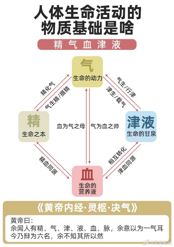 中医养生基础知识：精、气、血、津液的关系 ​​​