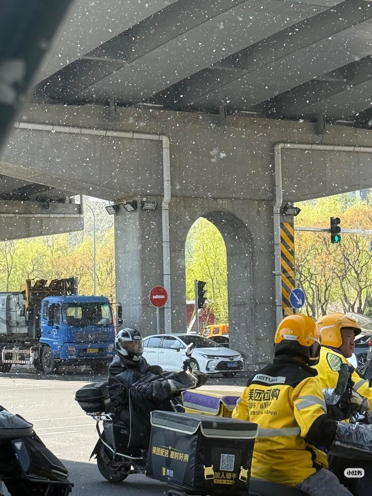 呼吸道科的，来活了北京柳絮开始无差别攻击