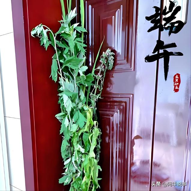 大家都知道端午节要挂艾草，
但是其中有一个细节，估计你肯定不知道!
那就是在挂艾