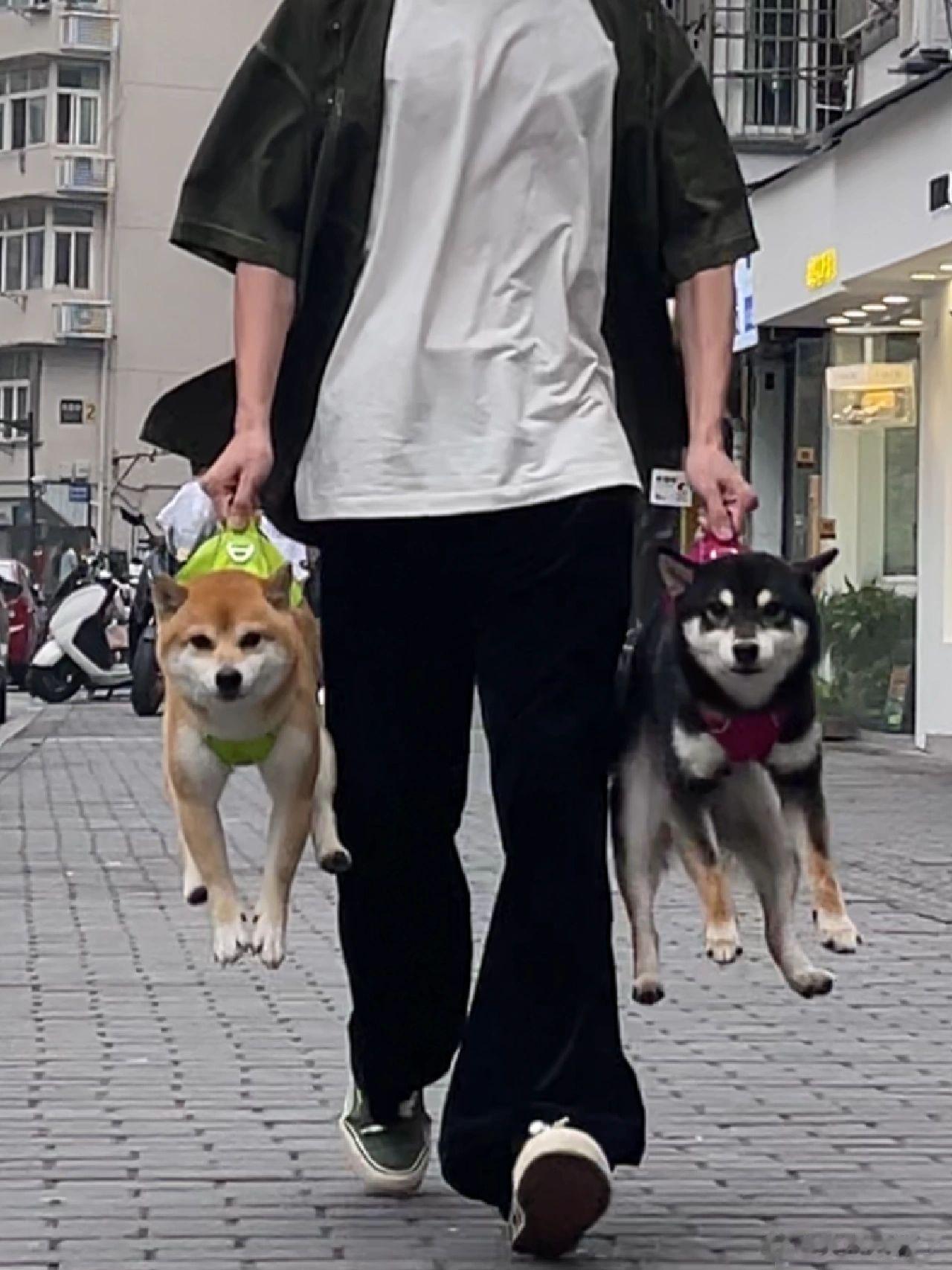 虽然但是不会真有人那去当情头吧…… ​​​