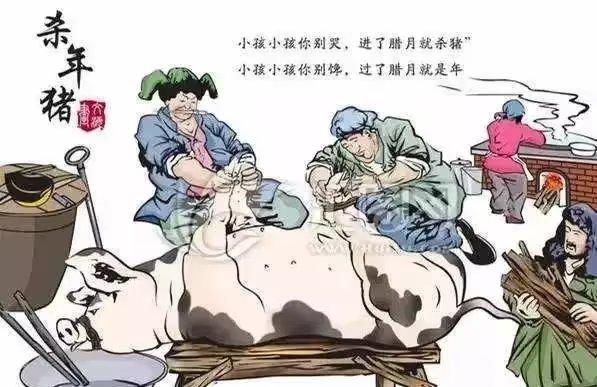 快过年了，村子里每天总有一两户人家杀猪。我每天天不亮就被遥远的猪的长鸣所惊醒，那