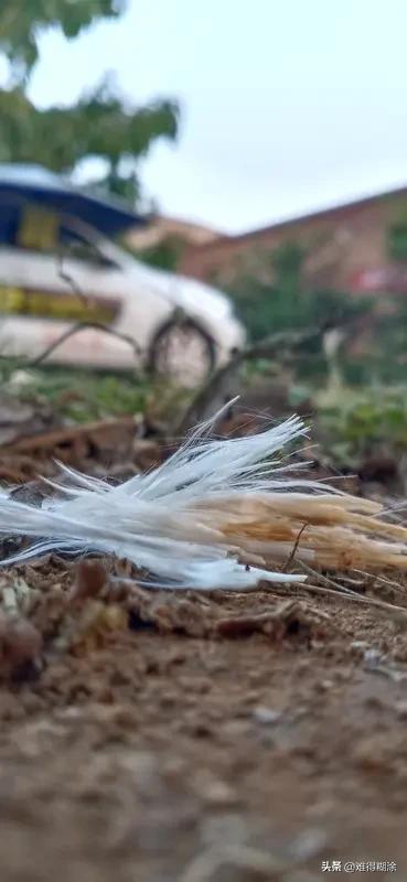 生活就像一场无厘头闹剧，岁月静好只是偶尔客串，一地鸡毛才是常驻嘉宾。早上被闹钟追