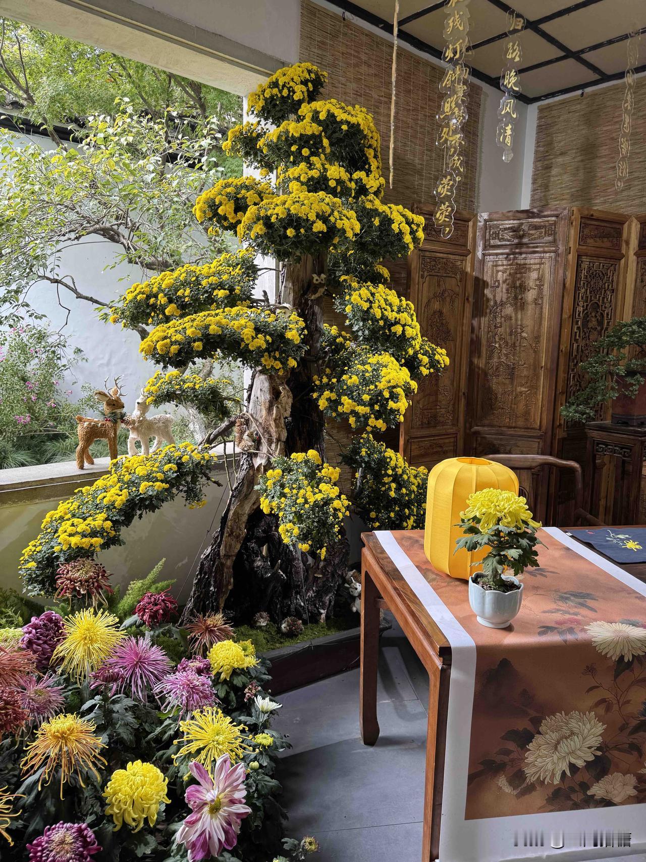 已经是冬天了吗？
前几天才去赏了菊花！
第一次用了杭州人才码，
免费入园，人超级