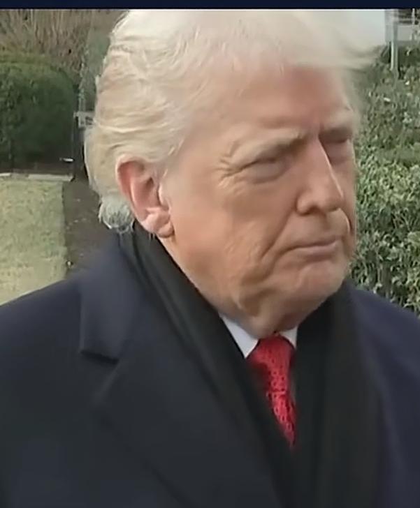 美国总统特朗普要强买强卖格陵兰岛了，对于反对美国购买格陵兰岛的几个国家自2月1日