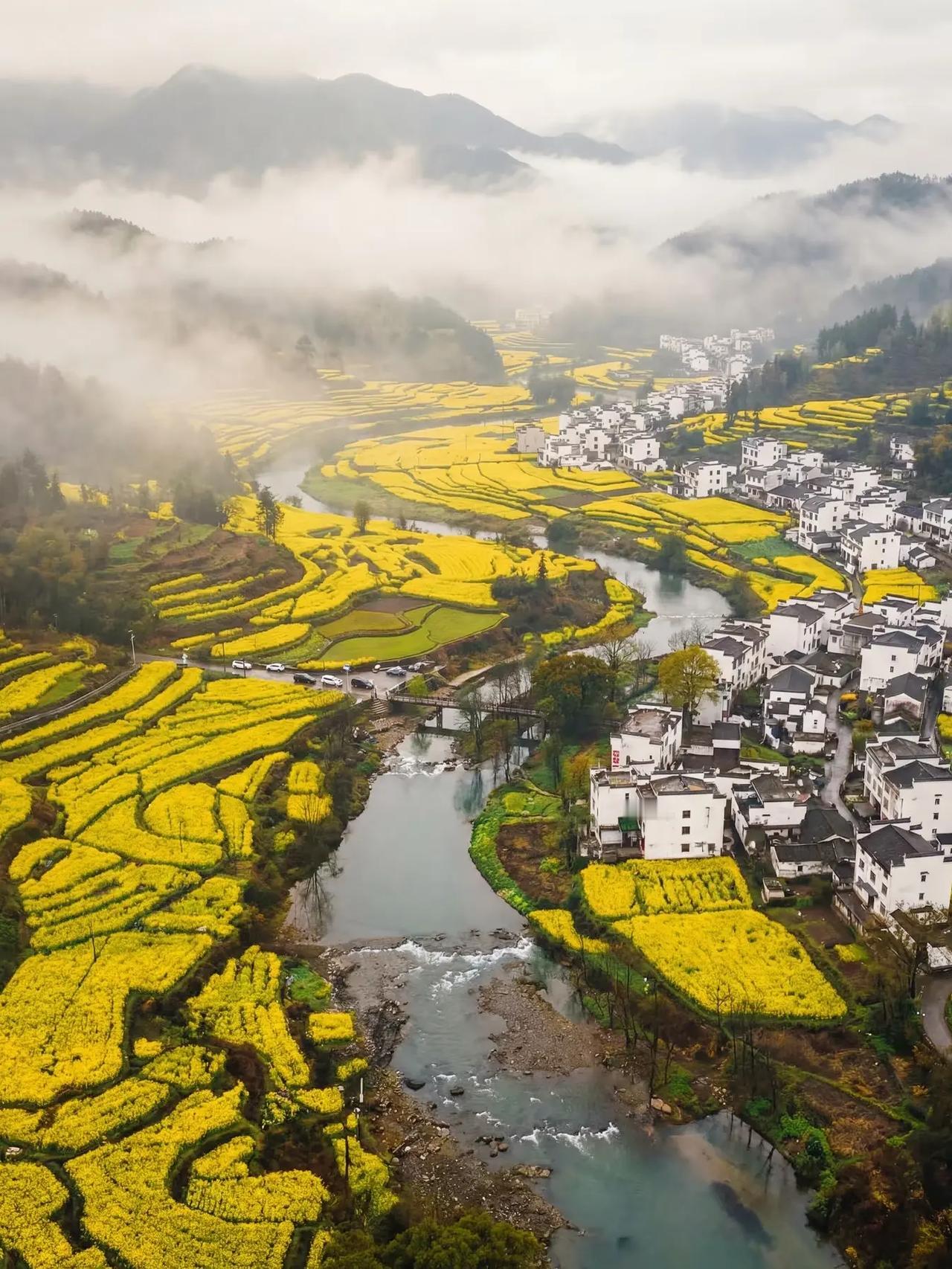 2026 年整体经济形势不容乐观，尽管数据看似亮眼，但我认为数字漂亮并不等同于实