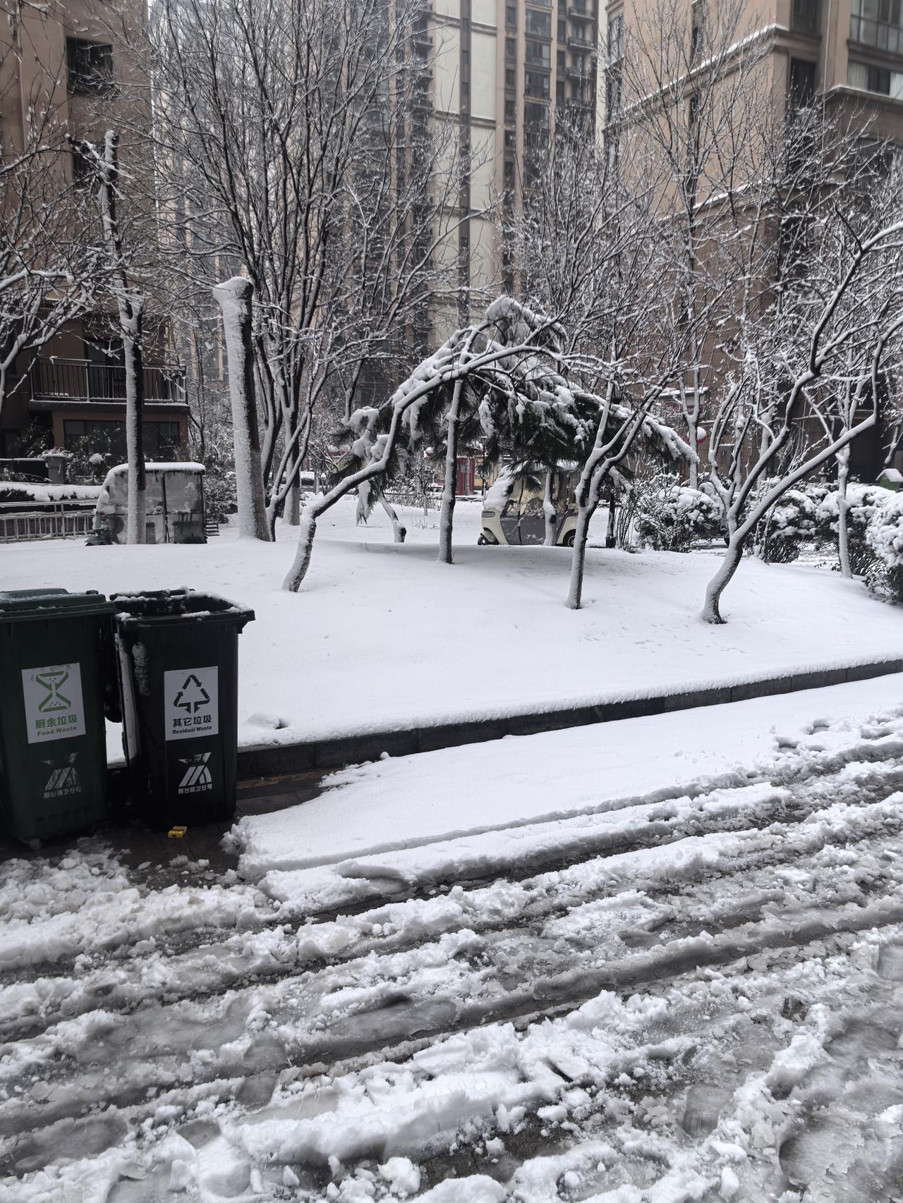 分享每天美好时光下雪了，还好化的挺快。
