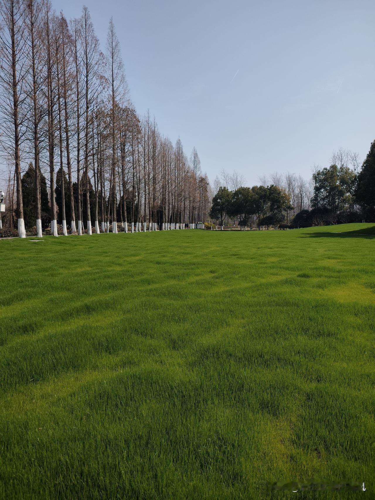 伊朗所提的十点停战要求，直击美国全球霸权与中东核心利益。其中有三条堪称美国绝无妥