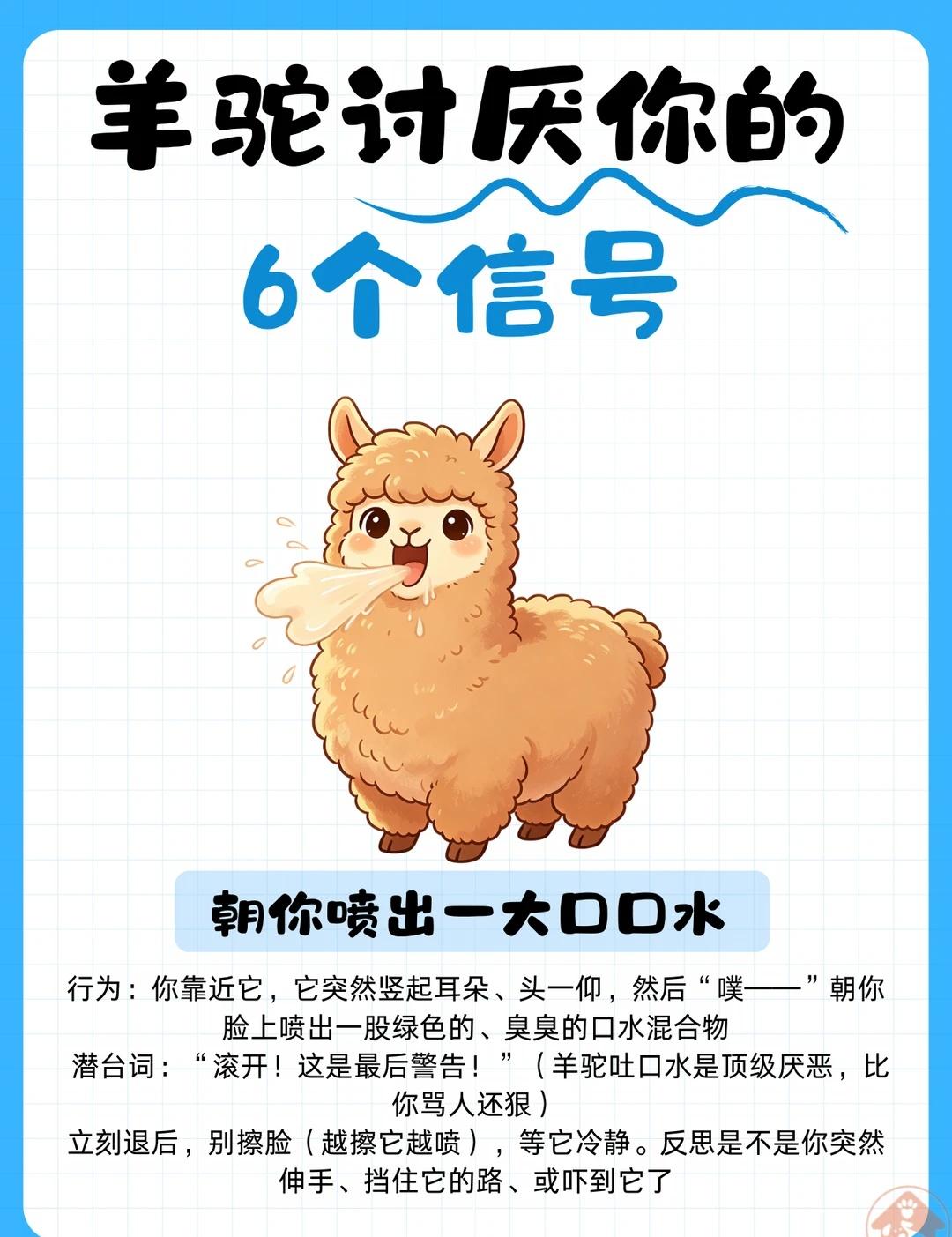 羊驼讨厌你的6个信号
养羊驼的宝子有没有遇到过： 一靠近它就朝你喷口水、甩脖子、