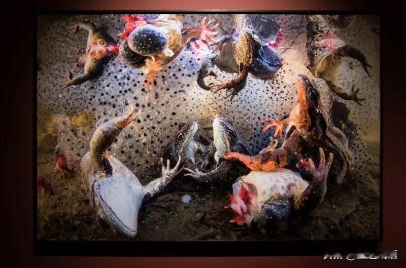 黎以冲突根源：领土争议、宗教教派对立、巴以外溢、真主党与以方长期对抗，叠加历史恩