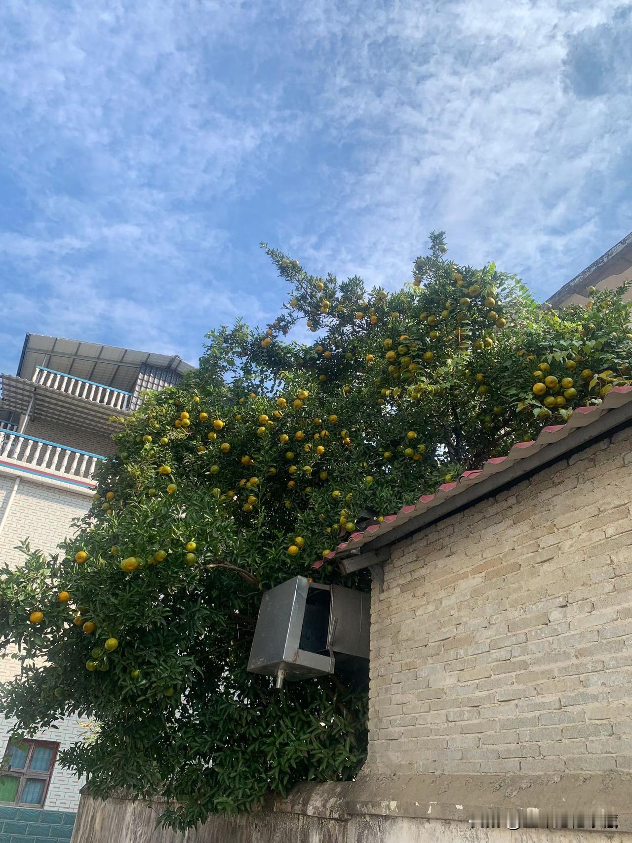 【来去匆匆】
周溪，一座千年的古朴小镇。街道交错有序，屋舍比肩而立。蓝天映着白云