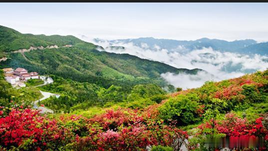 【阳明山公园】阳明山公园是全台湾最大，景色最美的郊野公园，内有沸腾滚滚的磺泉，漫
