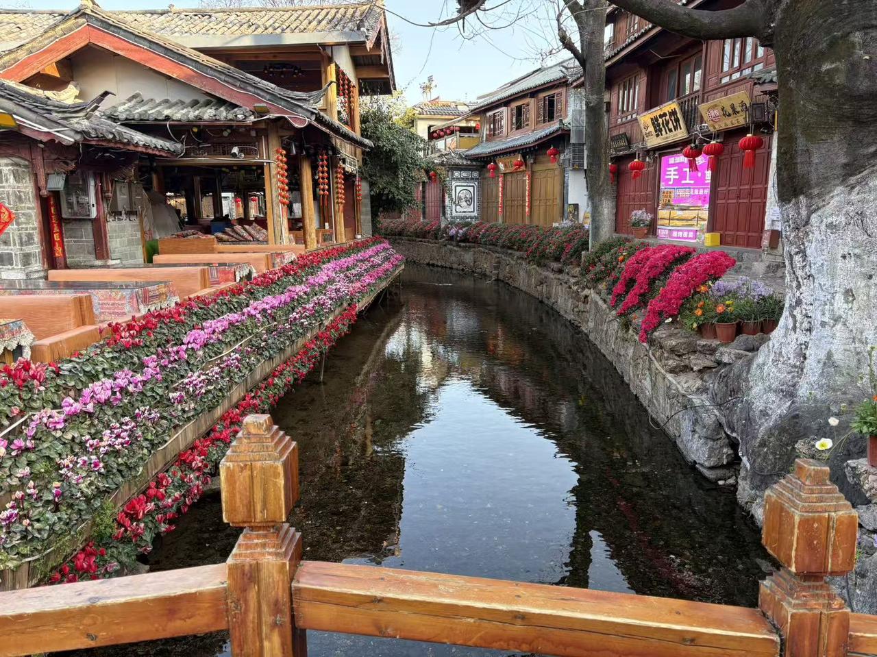 来丽江旅游，随手一拍都是美景！我去的时候，本以为没雪的玉龙雪山会少点意思，没想到