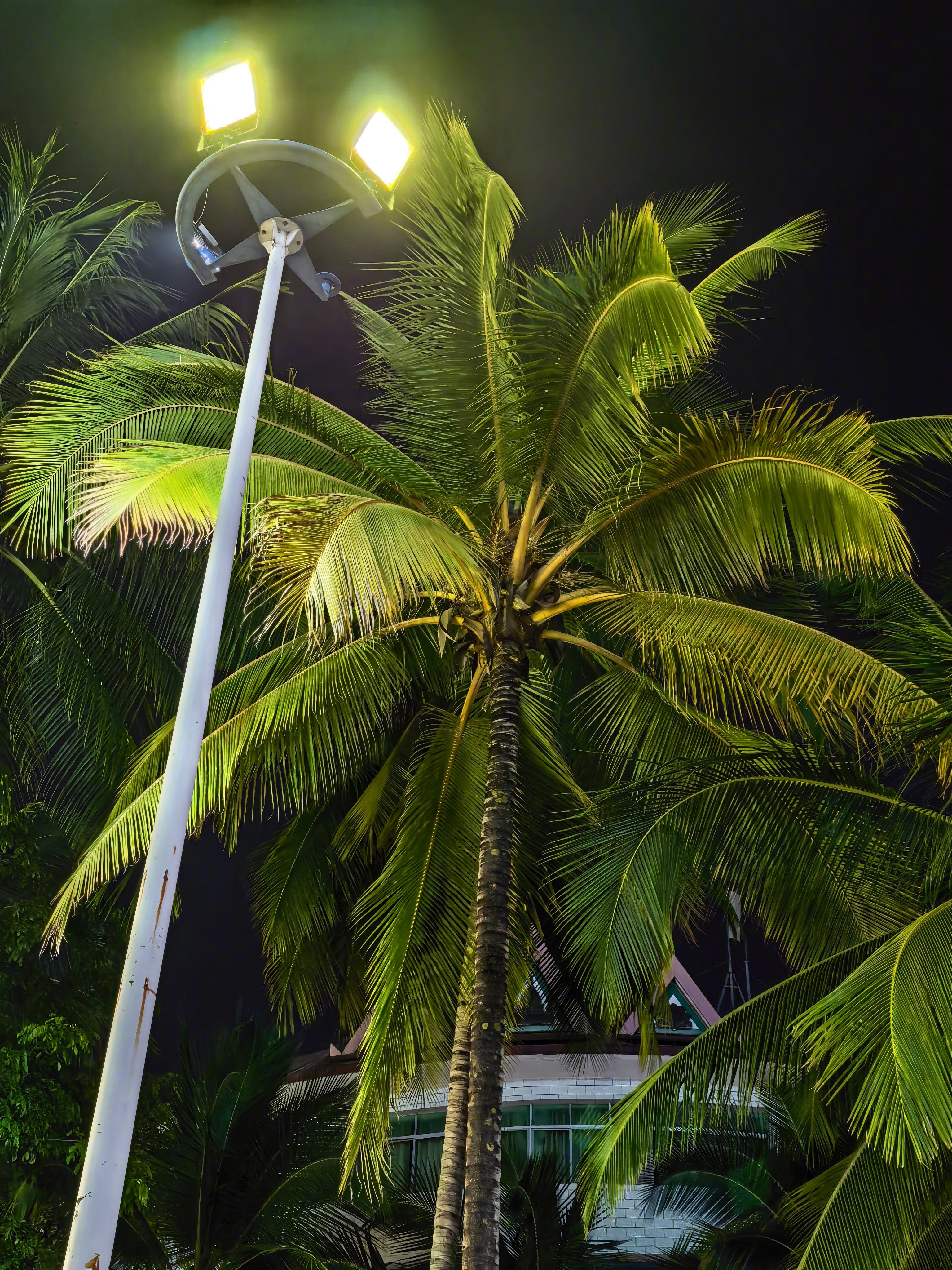 西双版纳气温太舒服了，不冷不热，也不潮湿！带杰灵吃个本地烧烤。这季节值得来版纳。