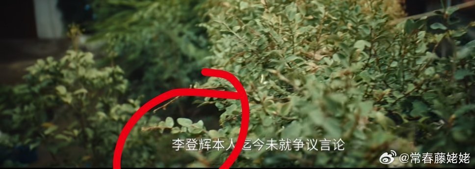 交锋 刺激  交锋好好看啊，看得好鸡冻，上来30分钟干掉2个人，而且是真杀，还蛮