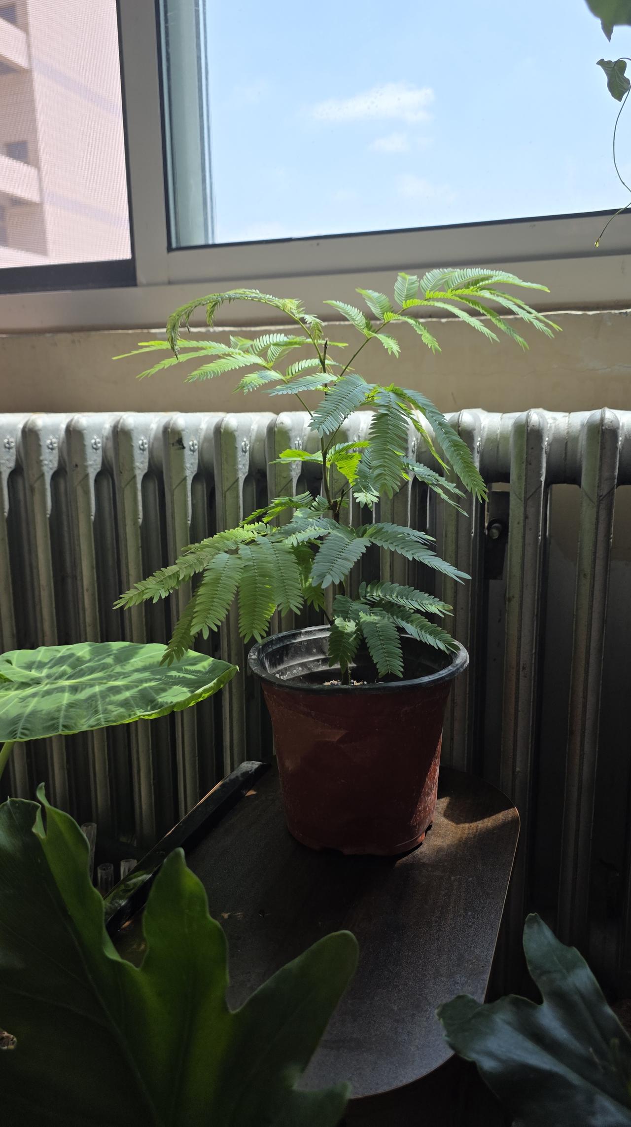 男女越亲密越陌生 性心理真相

你有没有过这种时刻 明明刚结束一场亲密 却觉得两