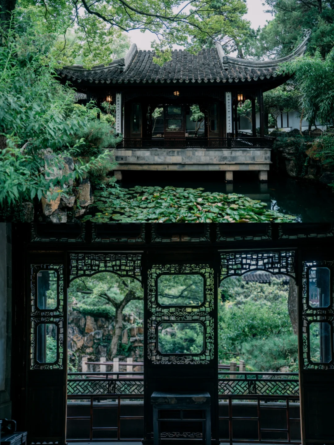 没人的耦园帮大家试过了❗❗满目皆绿意