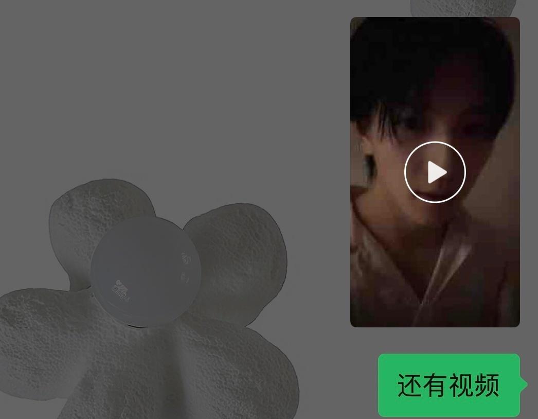 感动吗不敢动 