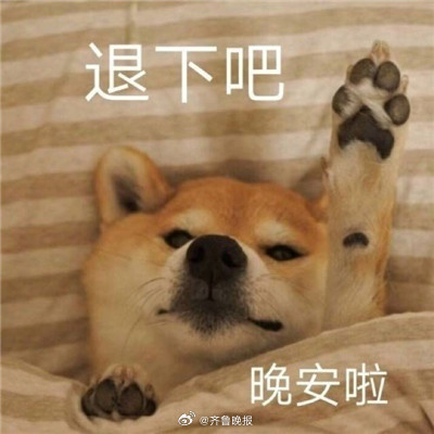 人间烟火，各有遗憾，今天比昨天好，就是希望。#晚安#