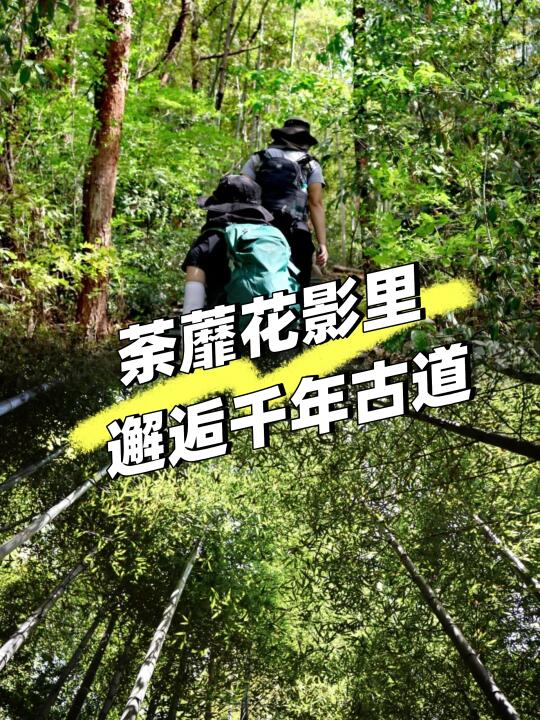 🏞️湖州春季｜西塞山徒步仙境好去处👣