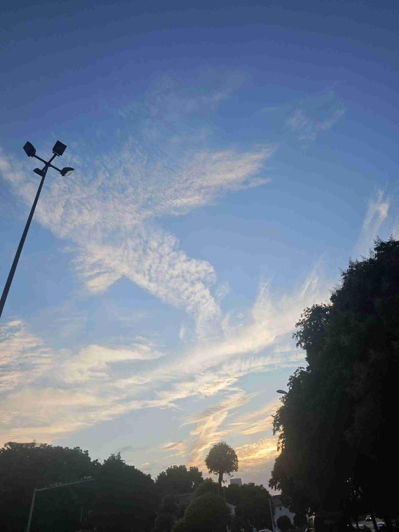 雨丝终于在清晨停了脚步，天边晕开浅淡的天光。

今天考场的最后一声铃响落下，笔尖
