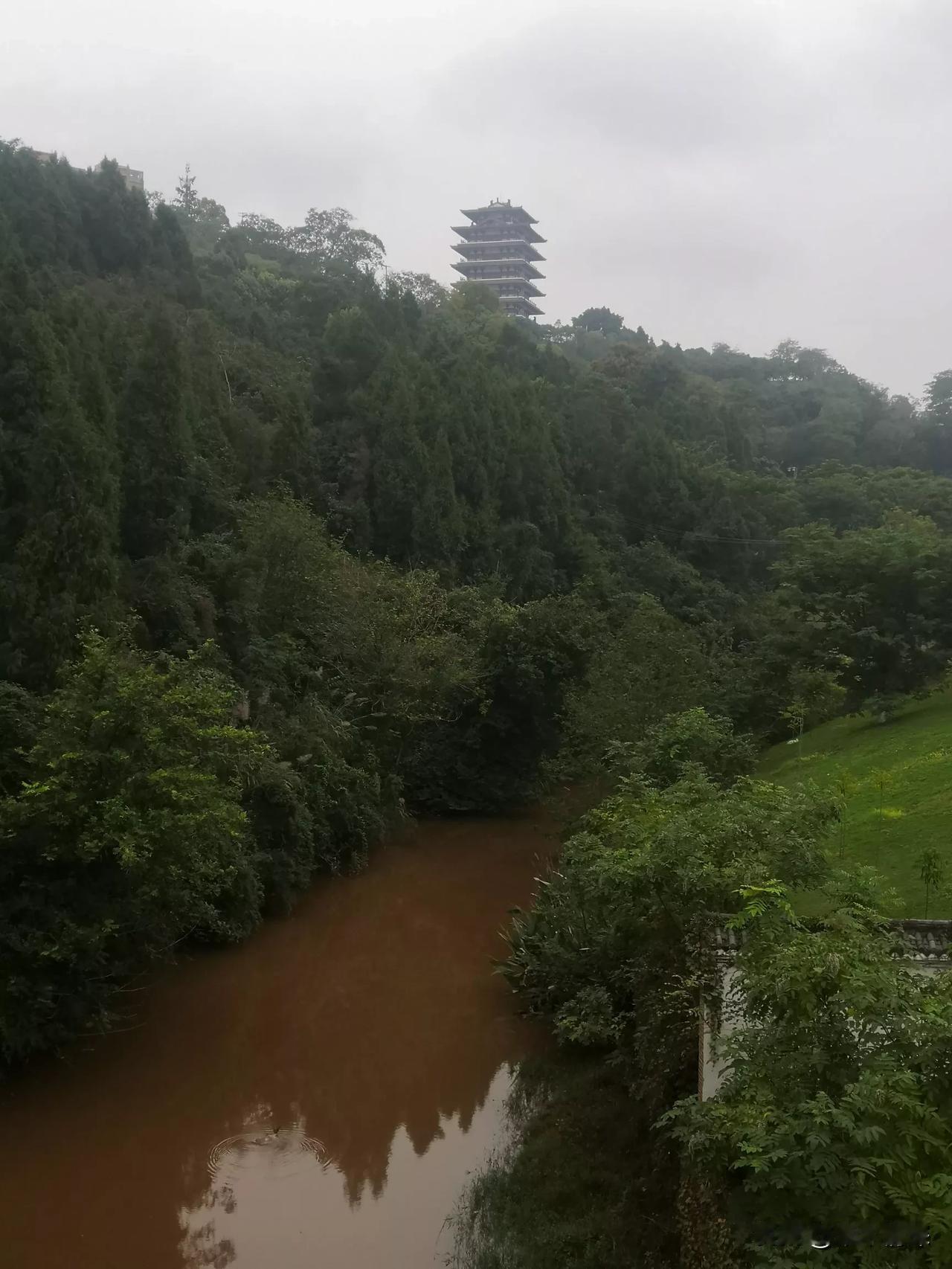 近日路过资阳城市，不知道这是哪里，始终是一条很宽敞的路，从351方向走来，转左手