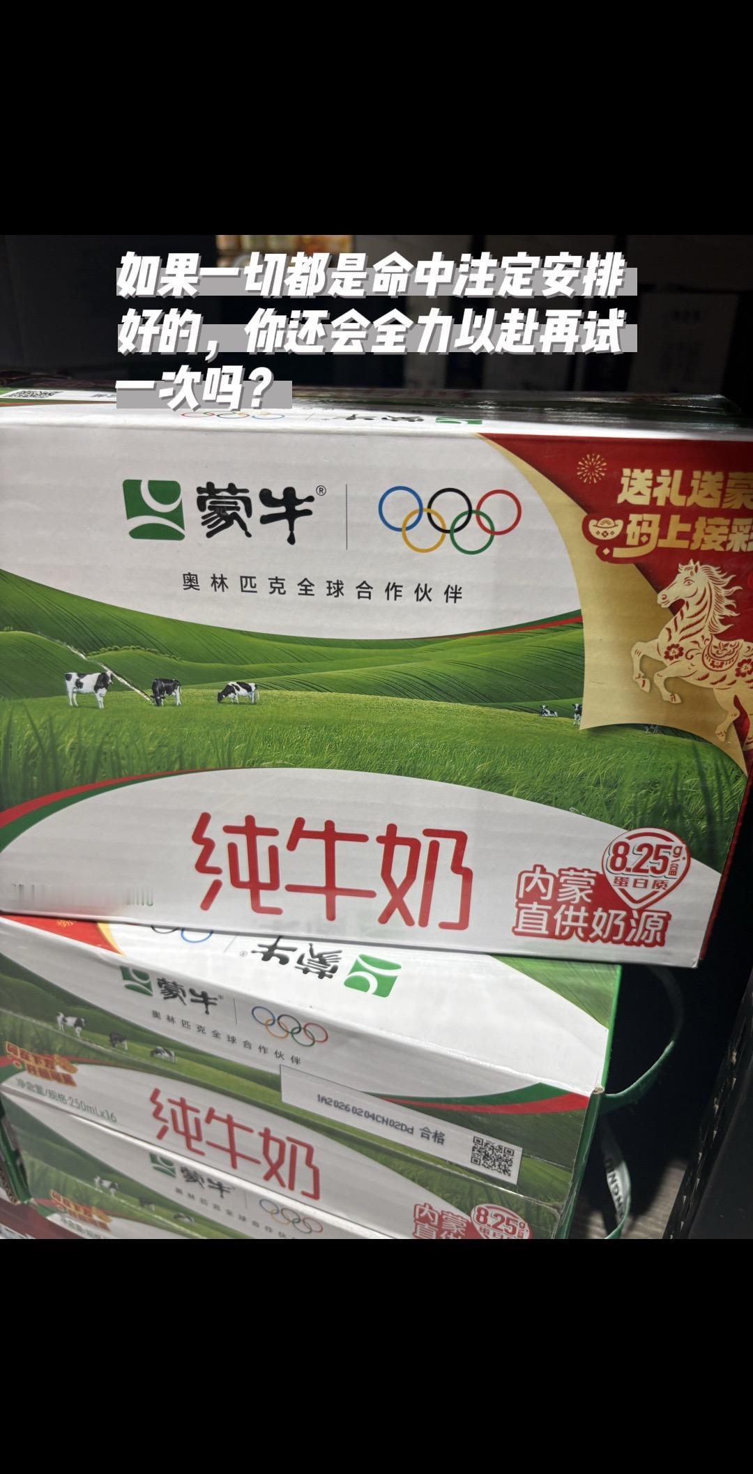 如果一切都是命中注定安排好的，你还会全力以赴再试一次吗？