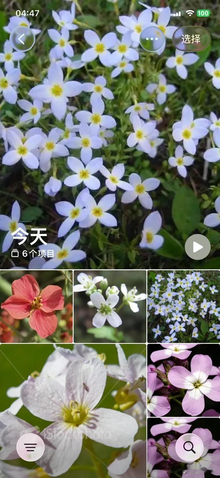 四叶草的图形到处都在，怎么成了路易威登的专利了，还靠这个标志赢了官司。再说了四叶