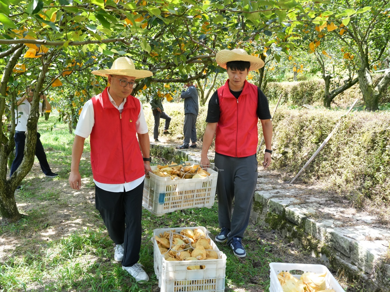浙江防台一线有速度更有温度台风“巴威”持续逼近，云和正扎实推进各项防台工作。昨天