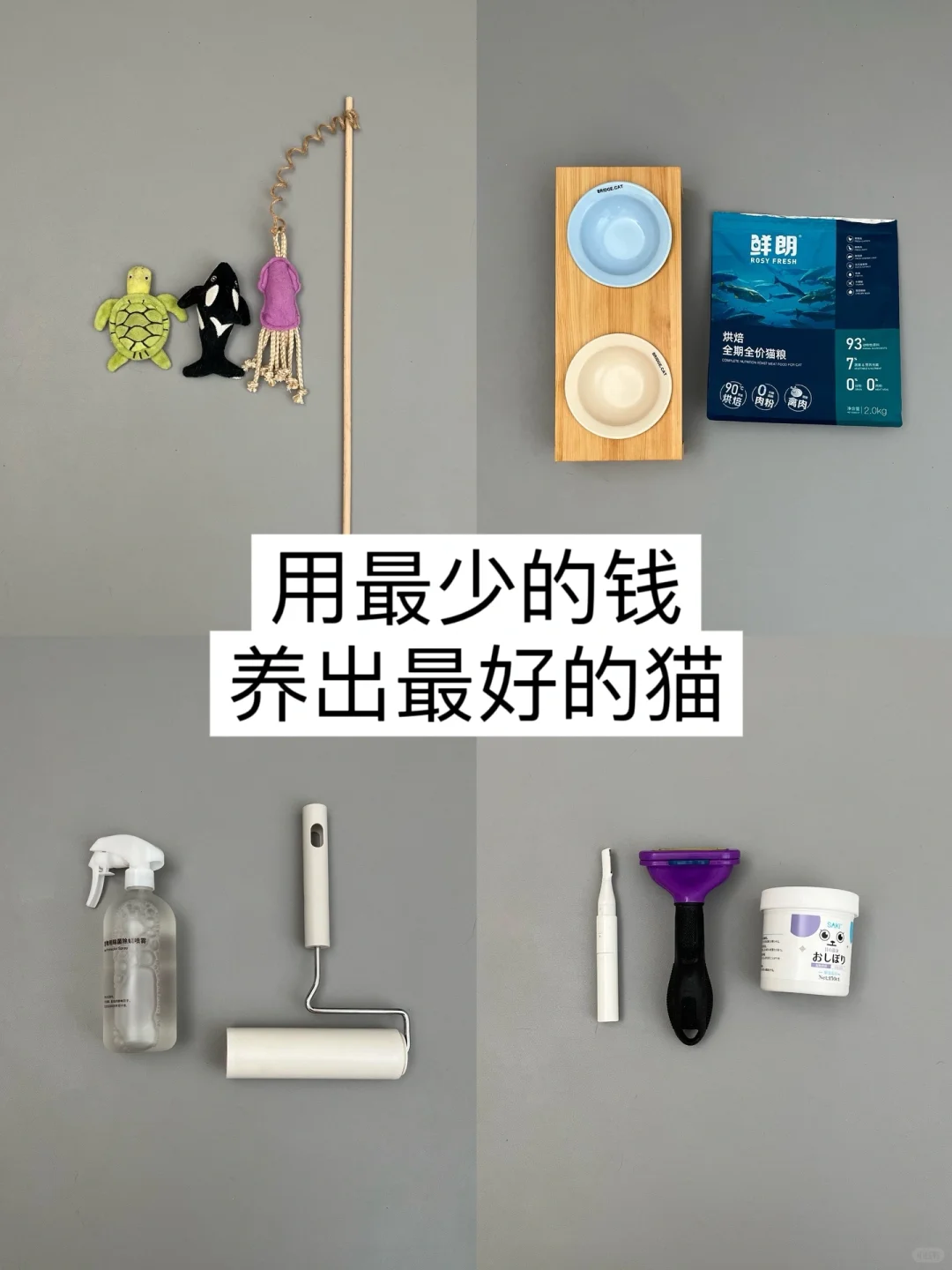 极简养猫｜当我开始精简养猫后省钱也省心