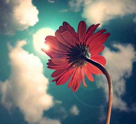 人静而后安，安而能后定，定而能后慧，慧而能后悟，悟而能后得。—— 《大学》