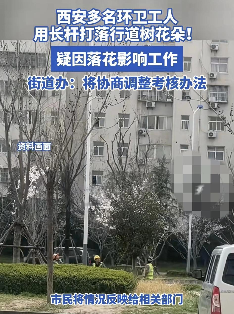 西安有网友反映，多名环卫工人在街道打落道路上的花朵，一是因为花朵影响了他们正常的