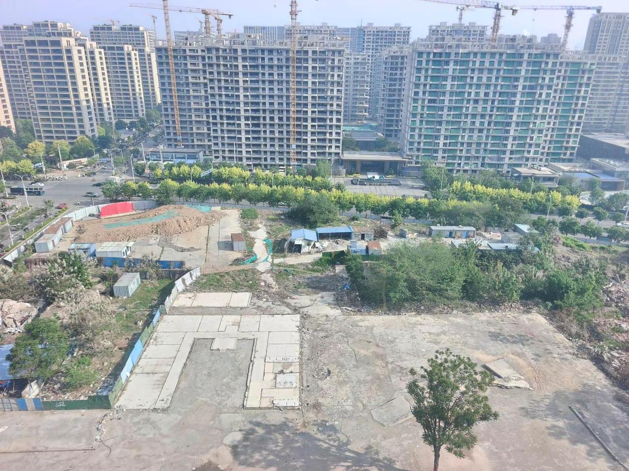 长岭山这片绿地公园得尽快建设啊？最近晚上10点到11点都会直播一会，很多粉丝咨询