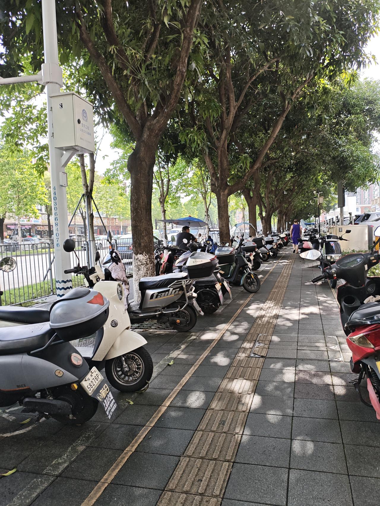 夏日避暑指南我昨天出去办事，走在这大树下的人行道上，感觉十分凉快，而且风景也不错