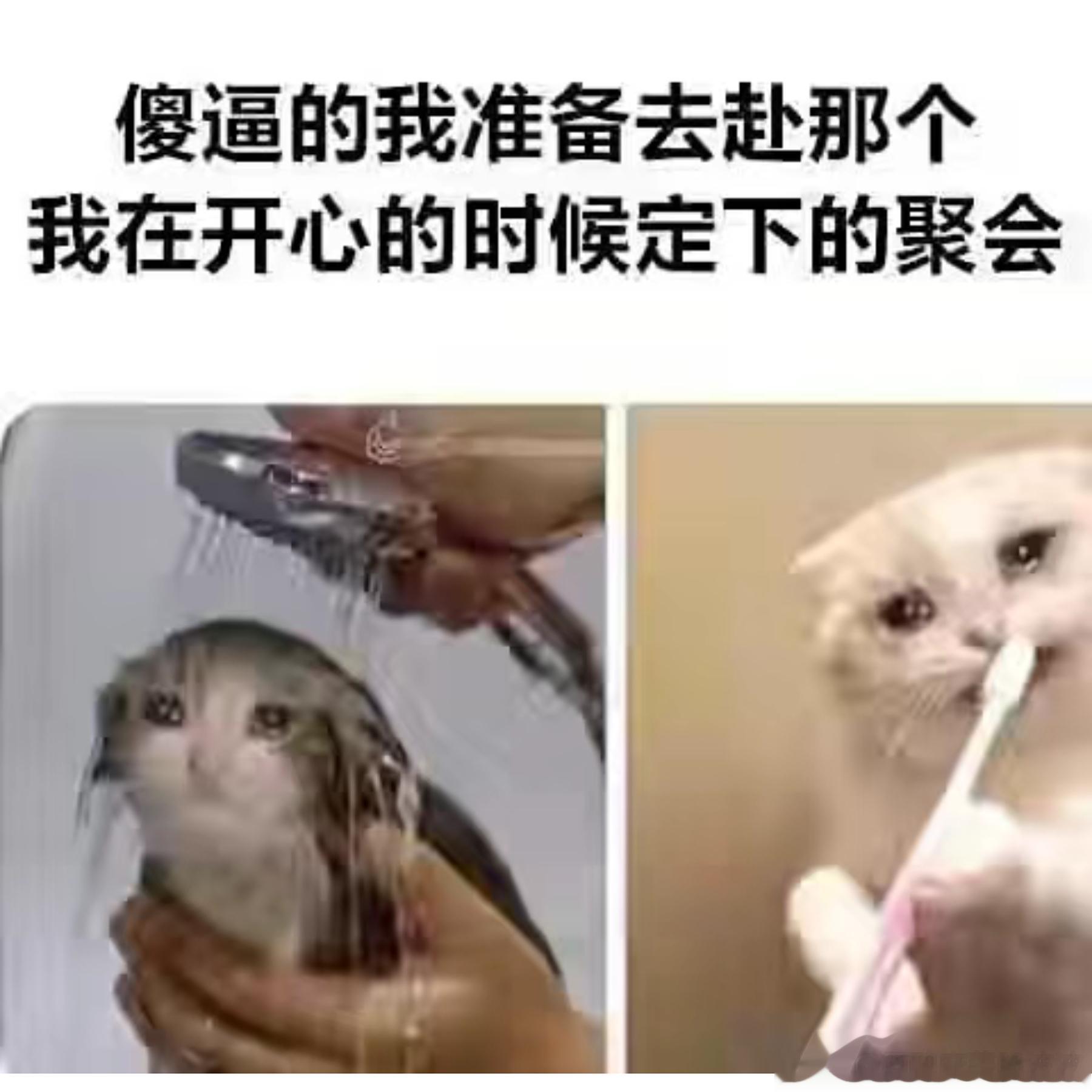 真的太真实了，经常会有那种脑门一热定下来的聚会[允悲] ​​​