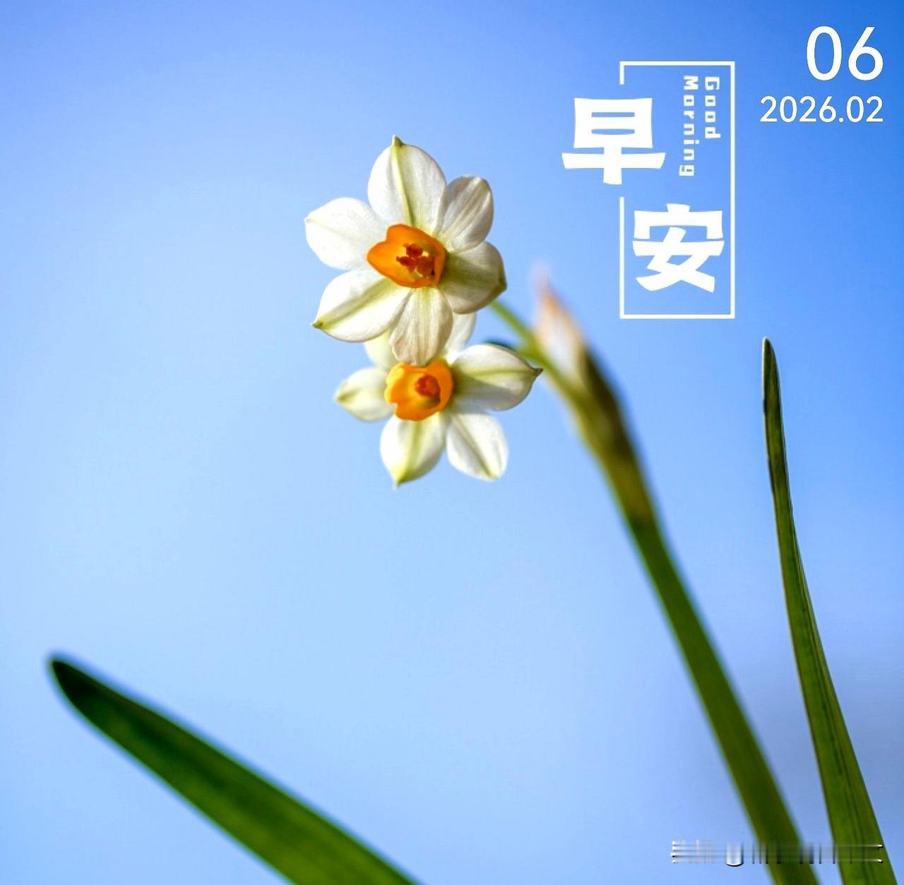 不要让未来的你，讨厌现在的自己。要努力变成自己喜欢的那个更好的自己。与其祈求生活