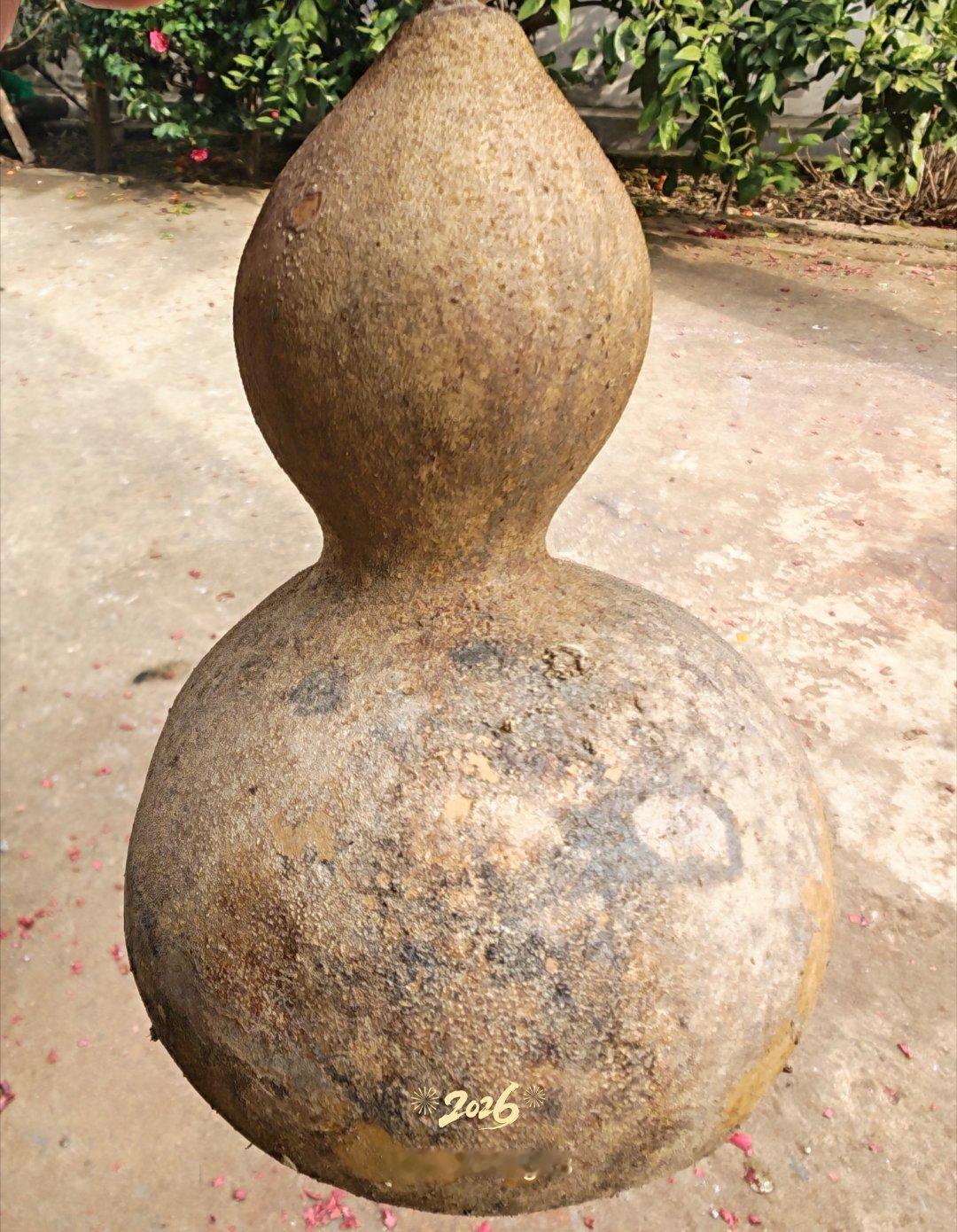 这个葫芦娃长大了春节摄影大赛