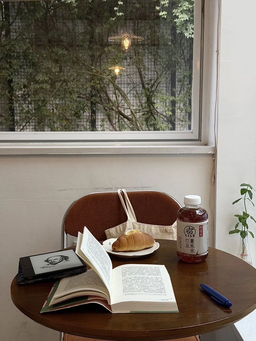 我的解压方式：阅读、睡觉、逛公园、不联系