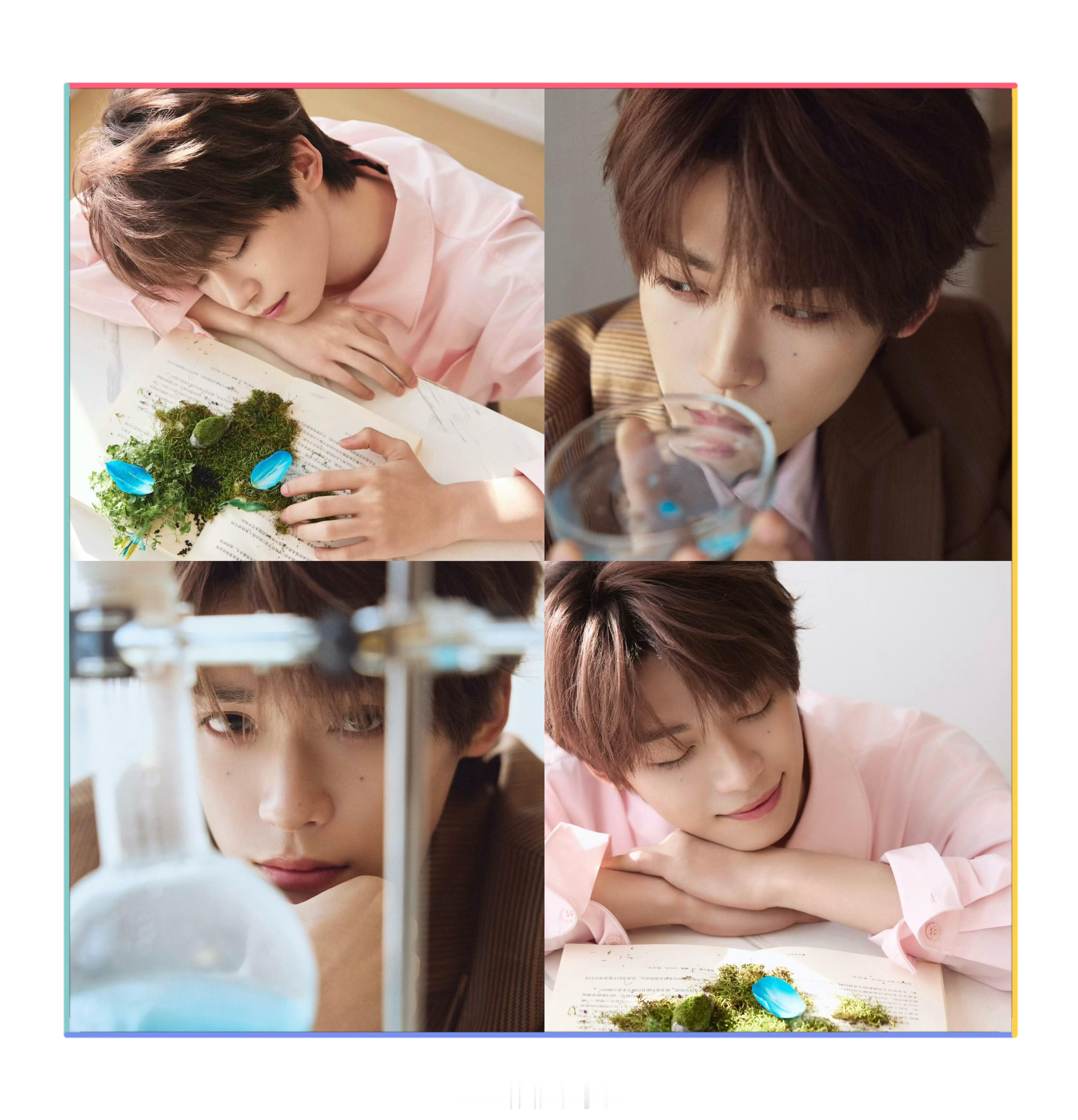 梓渝情人节写真 来自梓渝的独有浪漫，蓝色玫瑰花，真的把粉丝放在心上啊，又一次双向