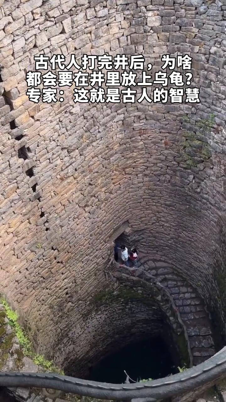 古代人打完并后，为啥都会要在并里放上乌龟？专家：这就是古人的智慧。