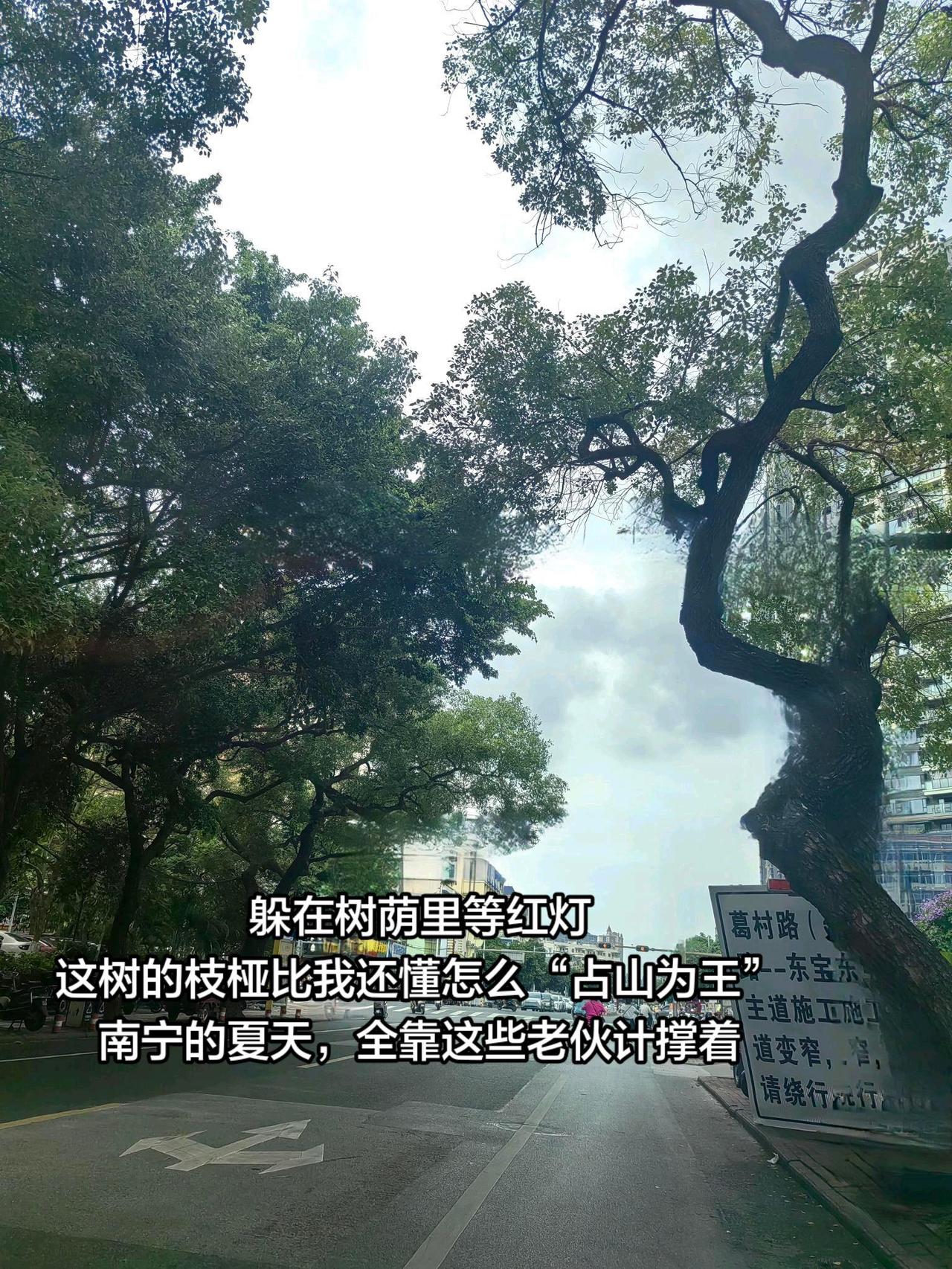 时间不语却回答了所有问题