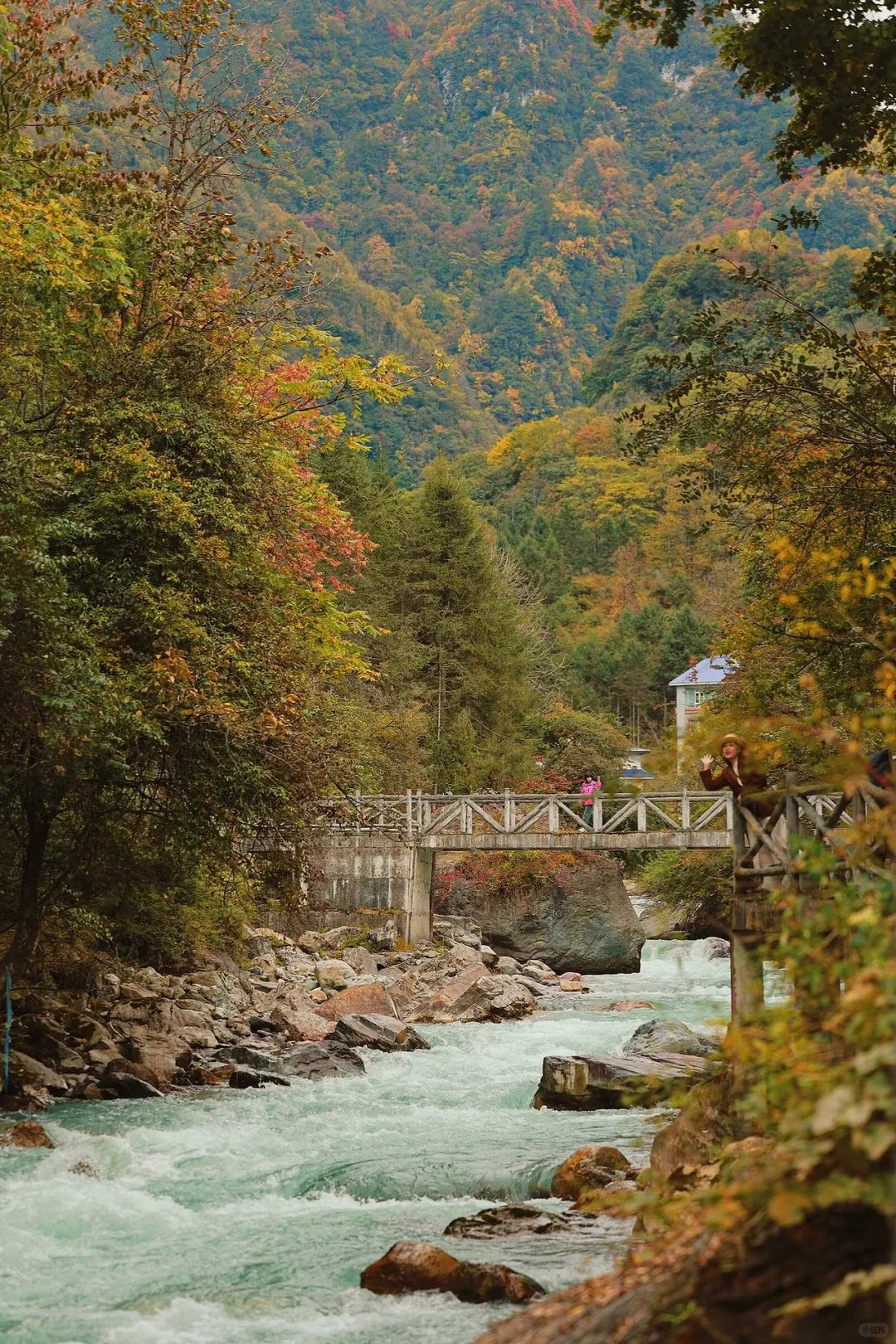 成都周边🍂｜喇叭河的秋天好像五彩的调色盘~