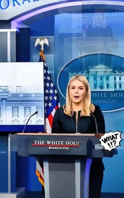 美国被中国再度拒绝了，美国官员很沮丧。“中国不想跟我们合作了，中国想要实现半导体