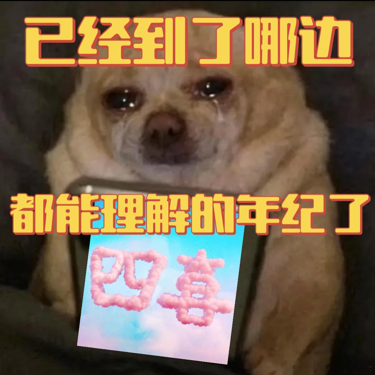 明珠对 DNA 检测单无动于衷，不是冷漠是没准备！《四喜》道尽人生百味，每个难处