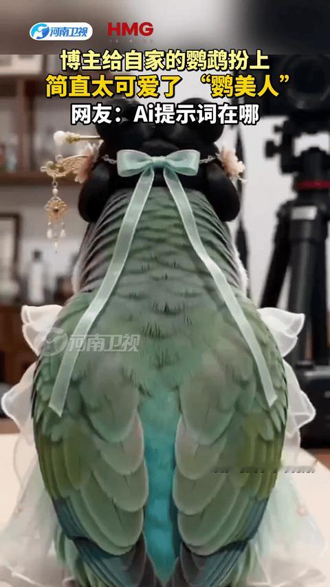 简直太可爱了！安徽，一女子突发奇想，给自家鹦鹉穿上迷你古风汉服，戴上精致假发和头