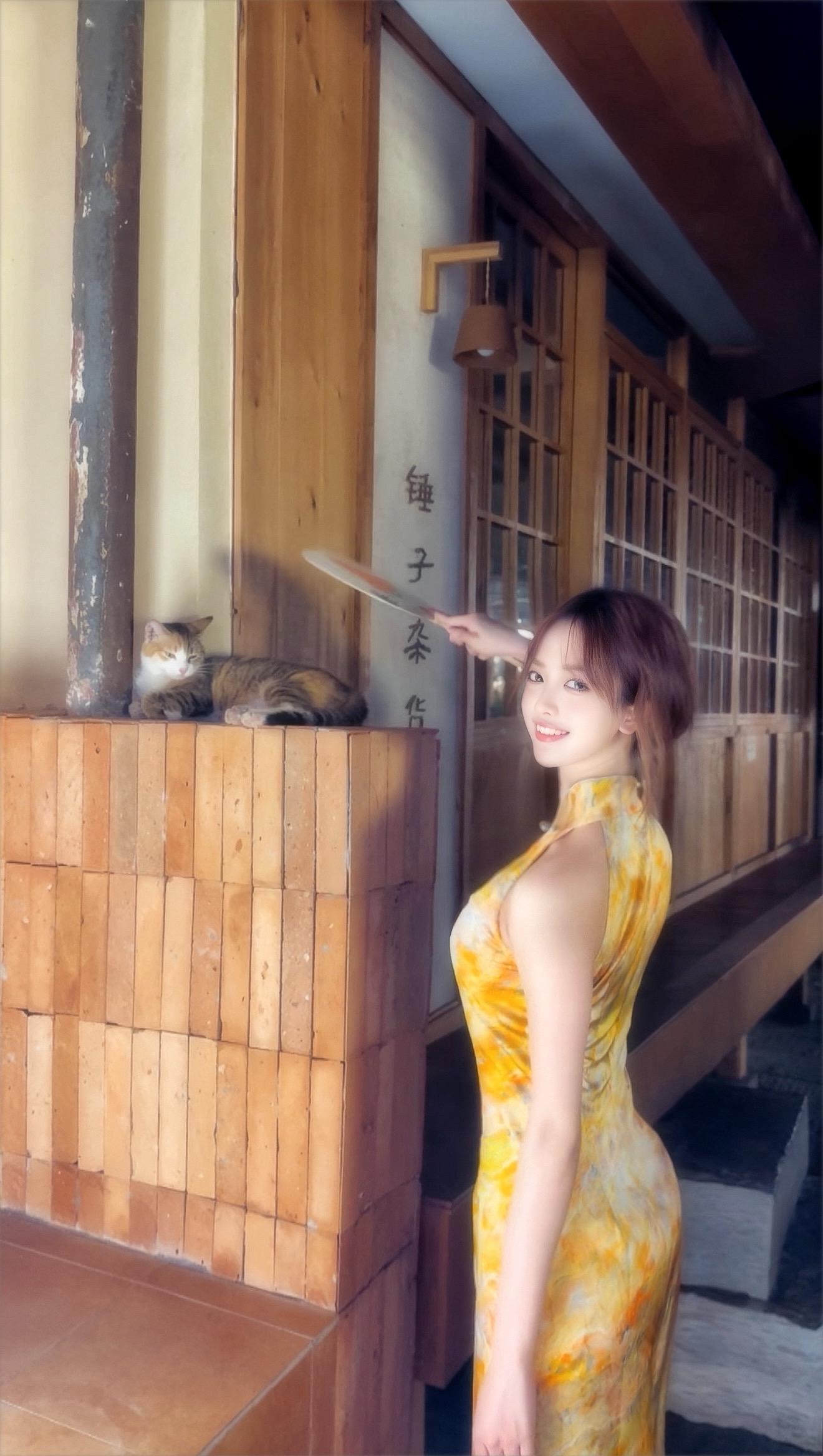 夏日的夜晚🐈给小猫扇扇风🪭 氛围感