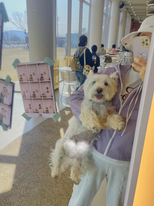 天气暖和啦！