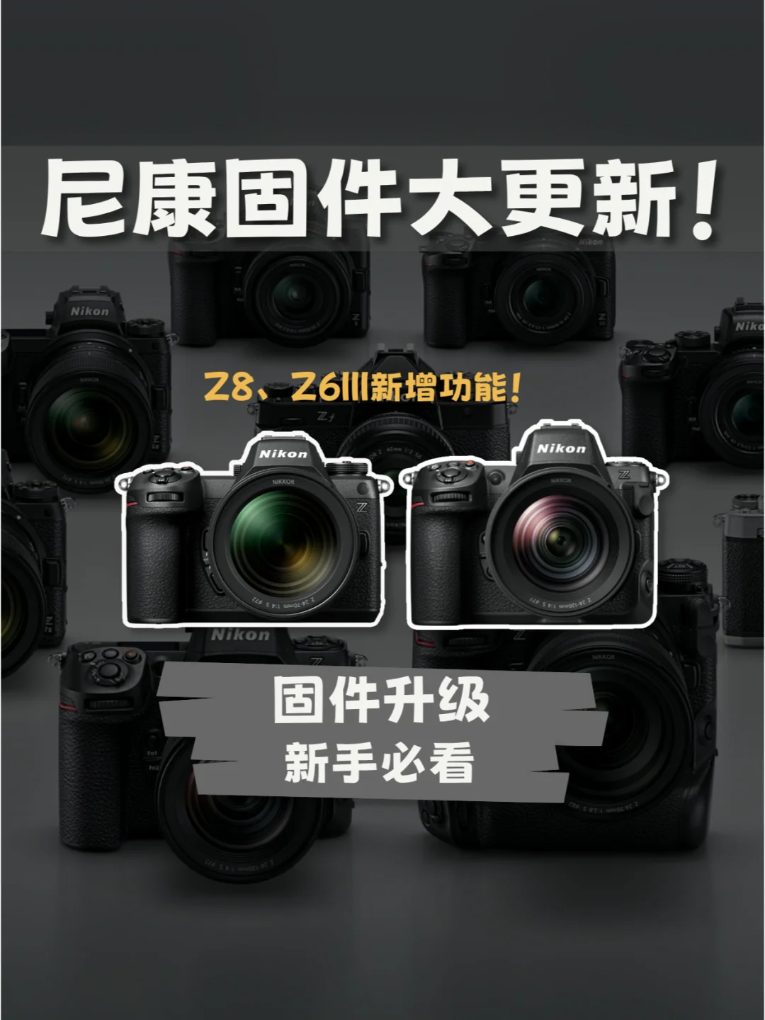 尼康Z8、Z9迎来固件重大更新‼️