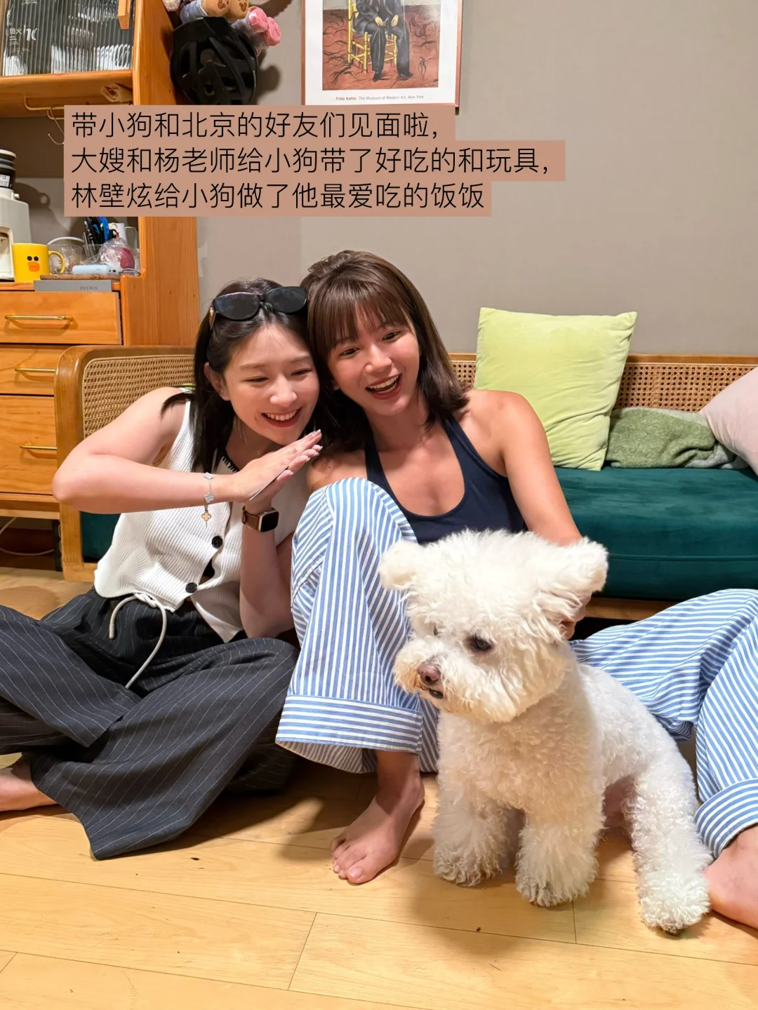小狗才是活在当下，烦恼是你们人类的事情