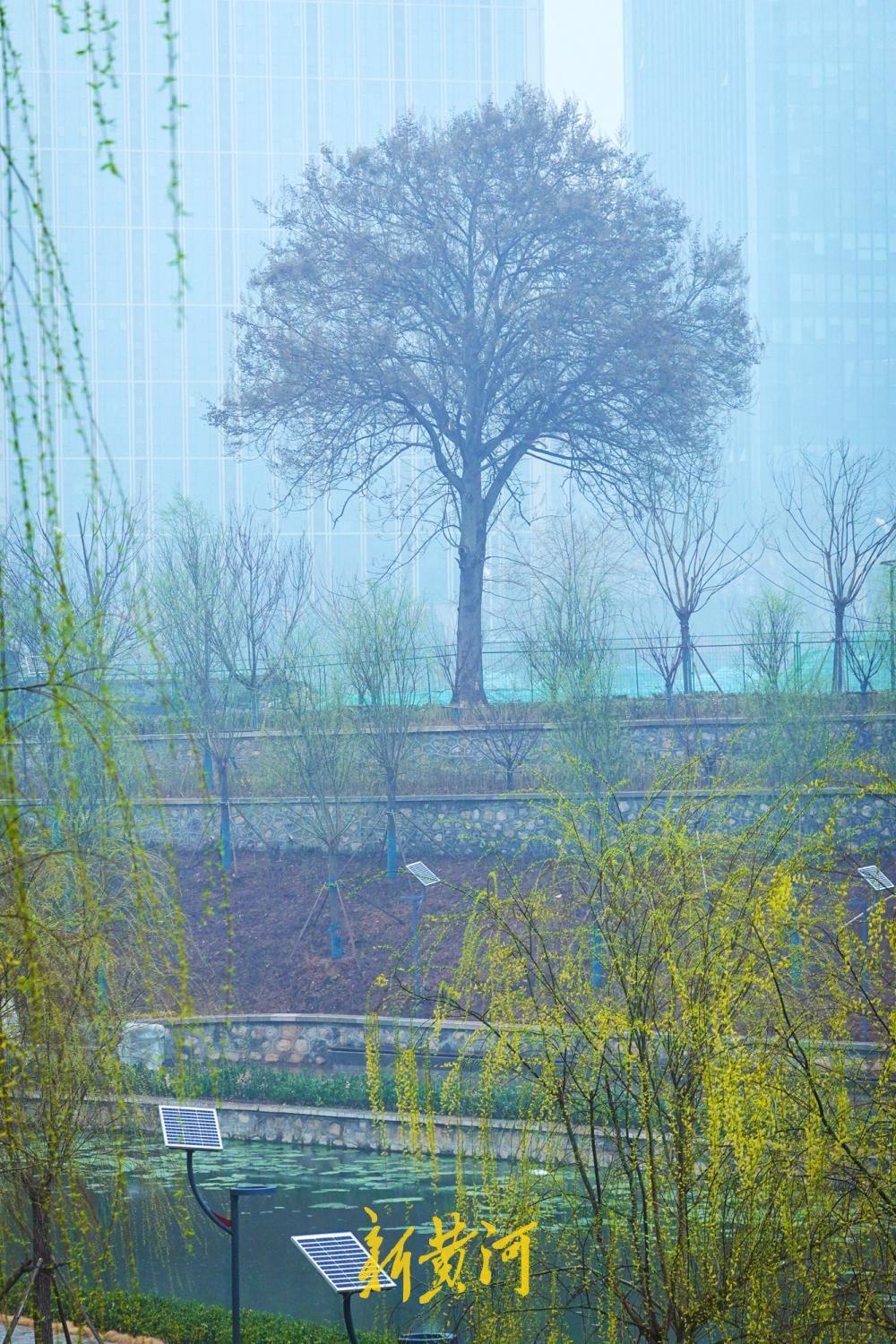 水清、河畅、岸绿、景美，改造后的济南大辛河换新颜！3月14日，位于济南天辰路南北